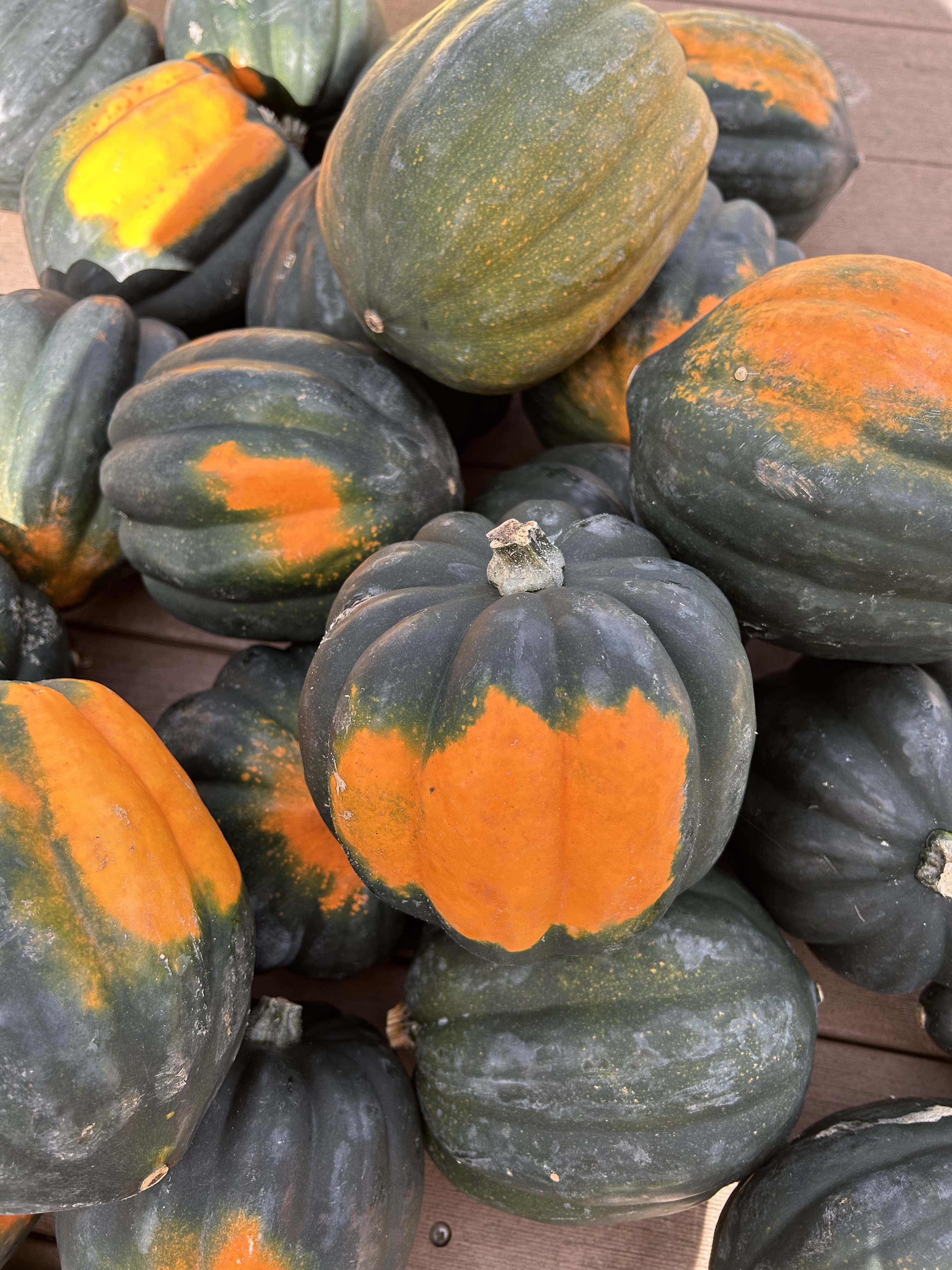 Green Acorn Squash